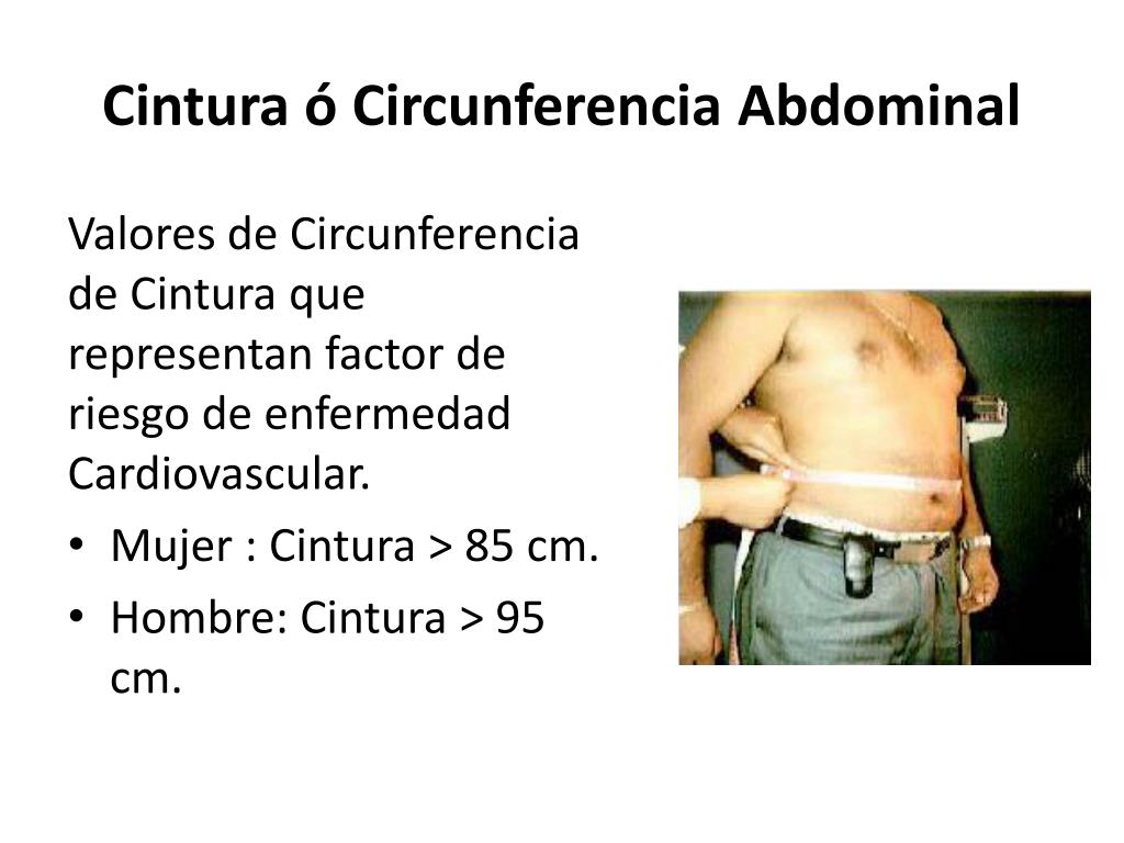 Circunferencia Abdominal Valores Normales Oms