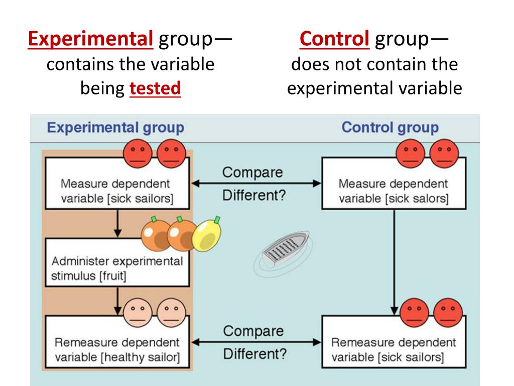 PPT Introduction to Biology PowerPoint Presentation, free download PPT Introduction to Biology PowerPoint Presentation, free download