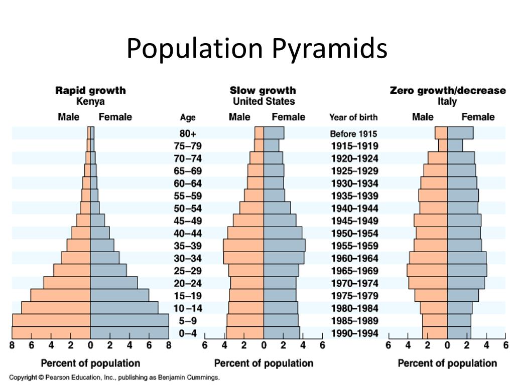 PPT - Population Dynamics PowerPoint Presentation, free download - ID ...