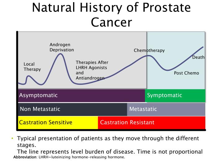 What happens after chemo for prostate cancer