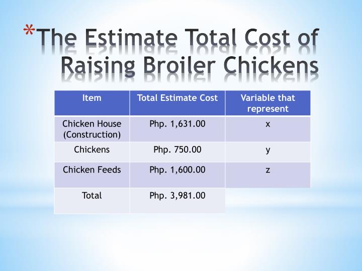 PPT Budget Proposal for Raising Broiler Chicken PowerPoint