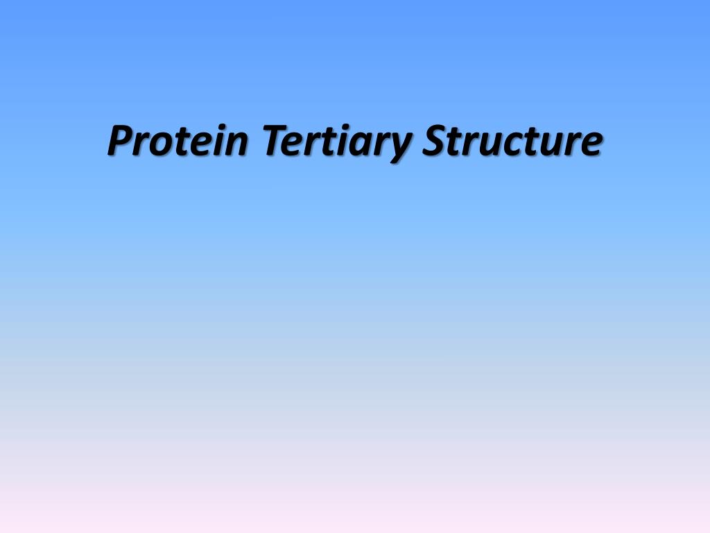 PPT - Protein Tertiary Structure PowerPoint Presentation, Free Download ...