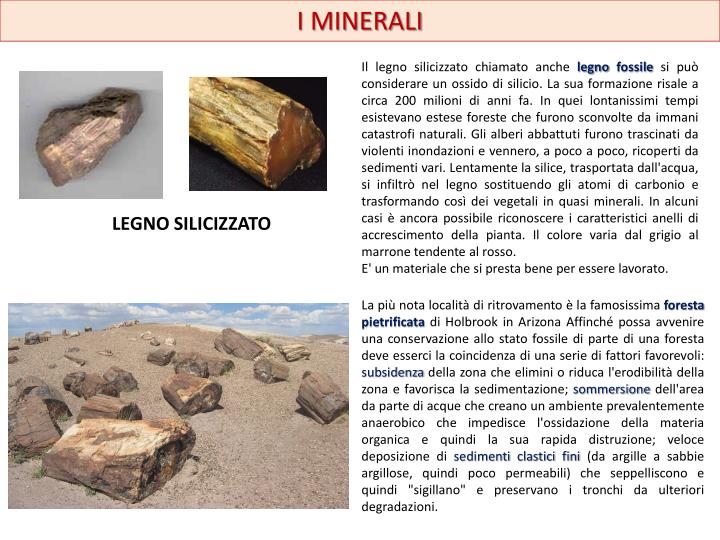 Gli Squali Esistevano 200 Milioni Di Anni Fa