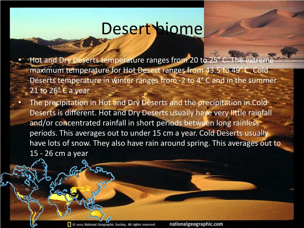 presentation of desert