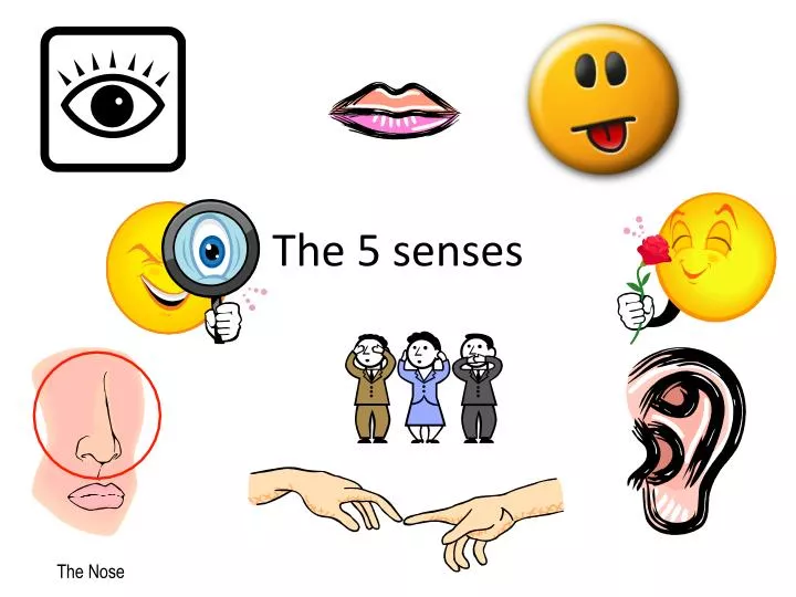 powerpoint presentation on 5 senses