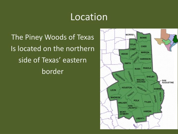 PPT - Piney Woods Ecoregion PowerPoint Presentation - ID:1865353
