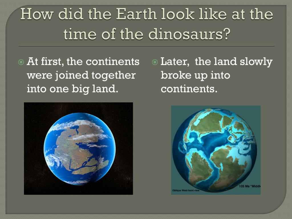 lived on the earth even before the dinosaurs