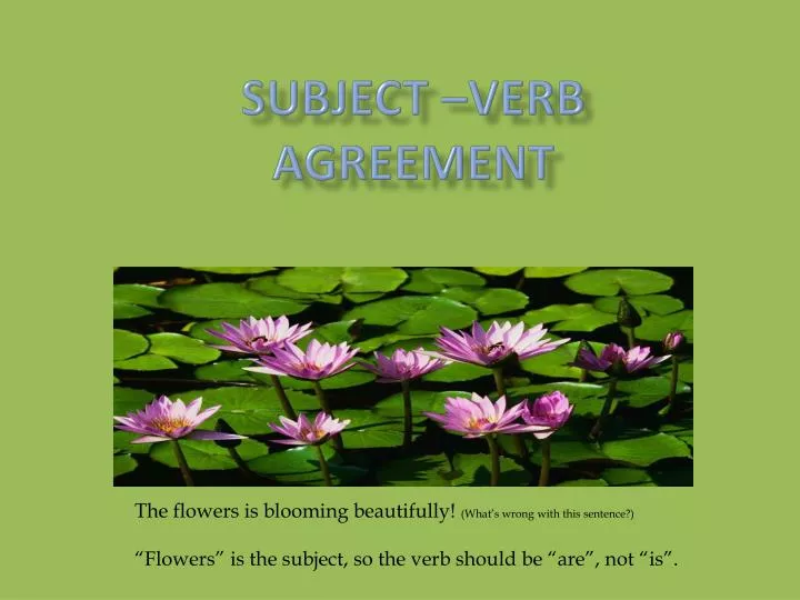 PPT - Subject –Verb AGREEMENT PowerPoint Presentation, Free Download ...