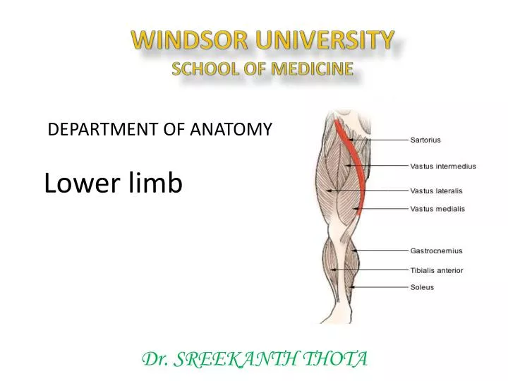 windsor university school of medicine n.