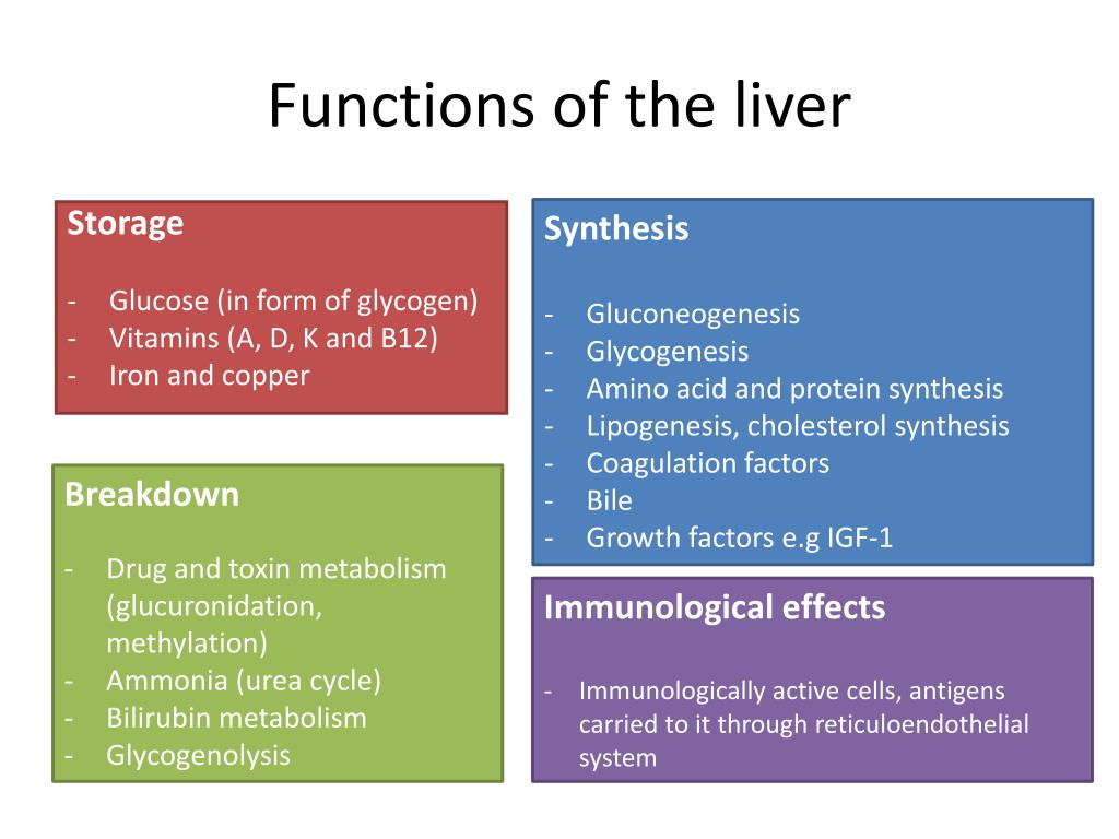 Unit of needs. Liver function. The main function of Liver. Functional Unit of Liver. Functions of Liver Cells.