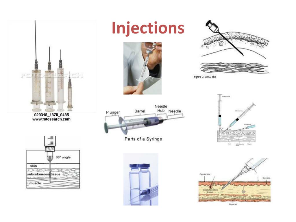 PPT - Comprehensive Guide to Vital Signs, Pain Assessment, and Blood ...