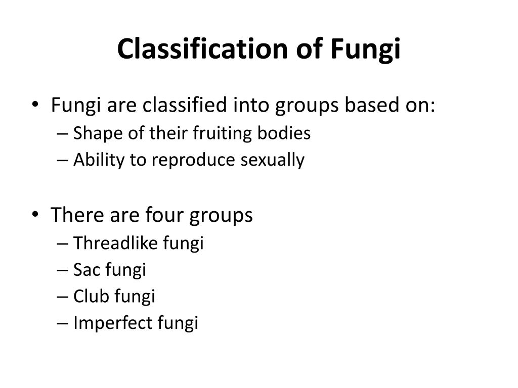 PPT - Reproduction and Classification of Fungi PowerPoint Presentation ...