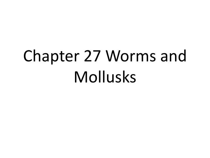 Ppt Chapter 27 Worms And Mollusks Powerpoint Presentation Free 