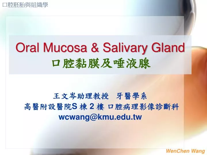 oral mucosa salivary gland n.
