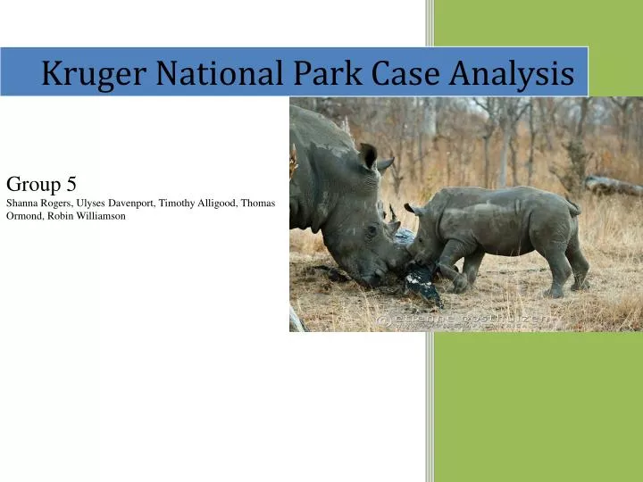 kruger national park case study