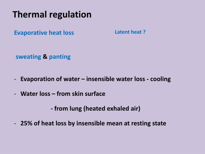 PPT Body Temperature and Heat Regulation PowerPoint Presentation ID