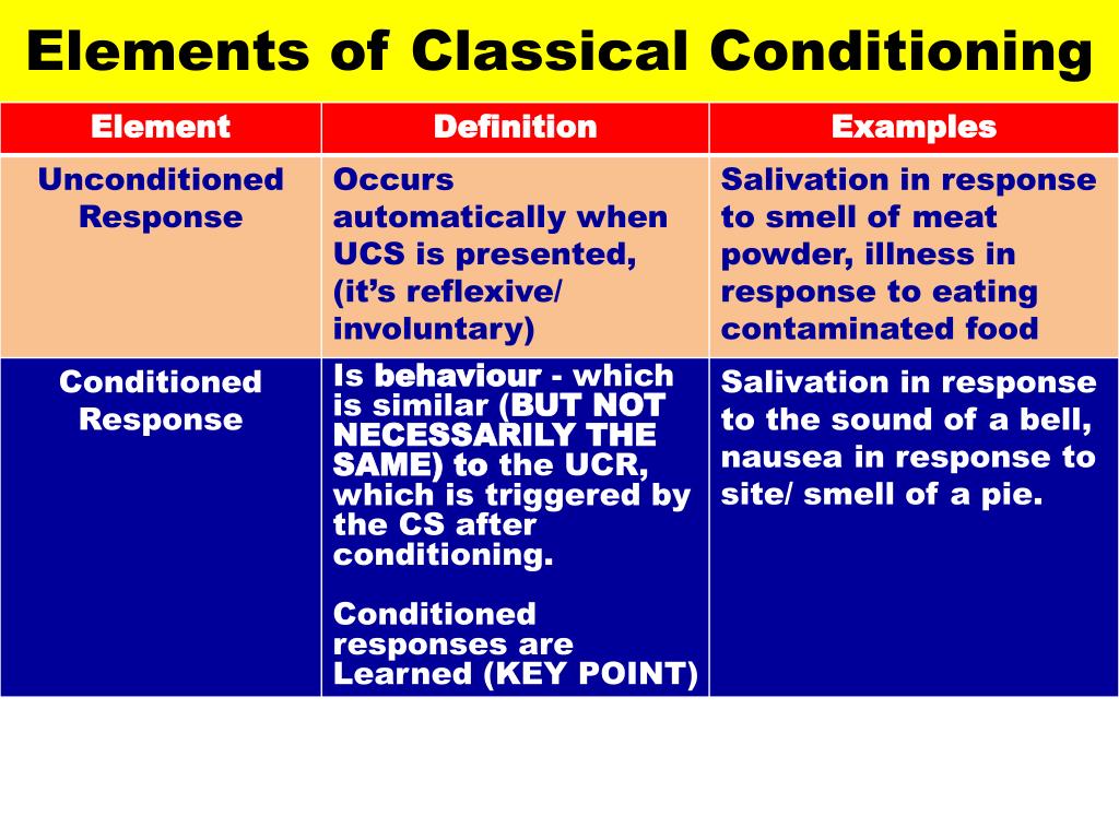 PPT Classical Conditioning PowerPoint Presentation, free download