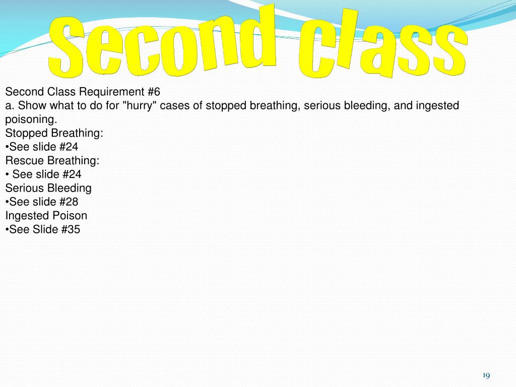 PPT - Tenderfoot Requirement #12 a. Demonstrate how to care for someone