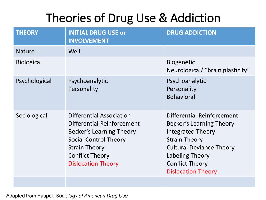 hypothesis on drug abuse