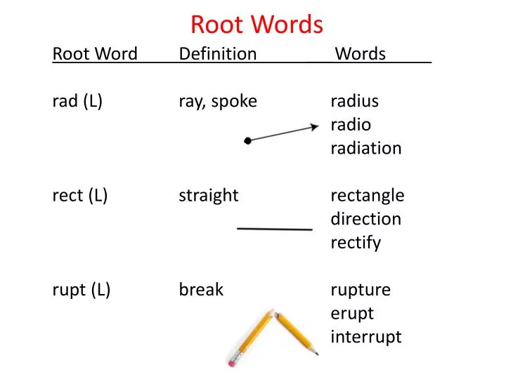 PPT Root Words PowerPoint Presentation, free download ID1868907
