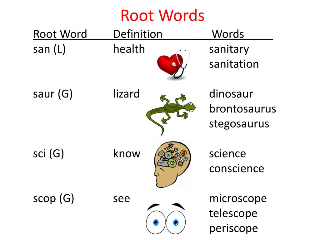 root word to presentation