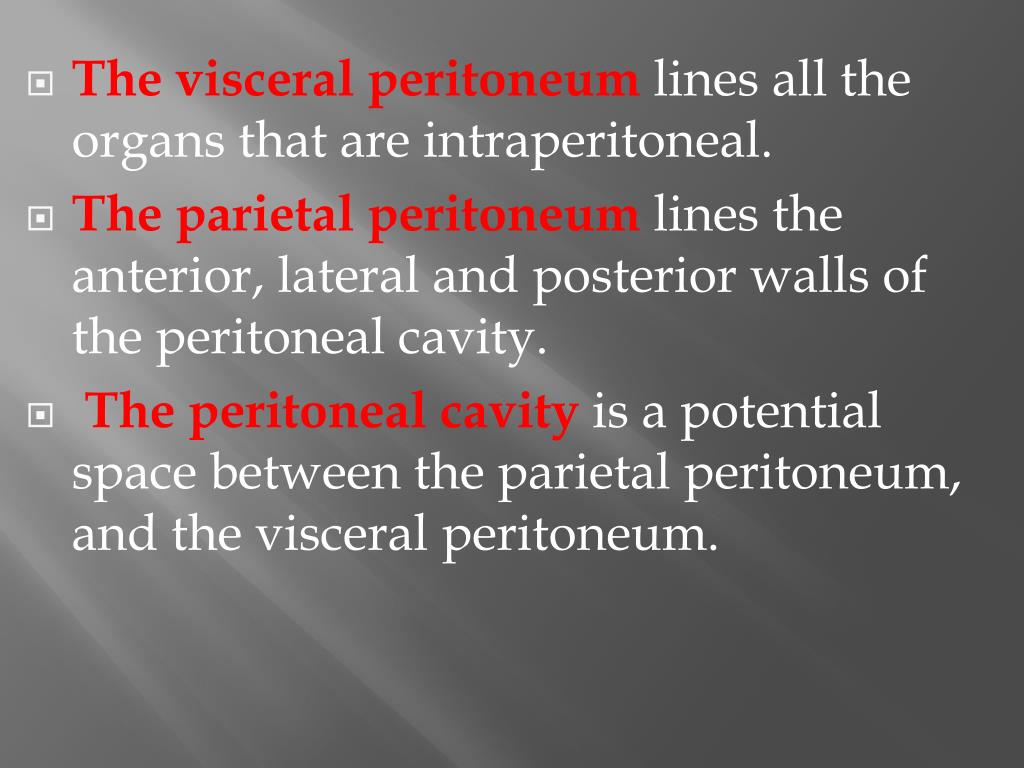 Peritoneum and Mesentery PowerPoint Presentation, free download ... Biology Diagrams