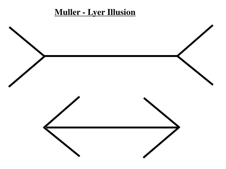 Ppt Muller Lyer Illusion Powerpoint Presentation Free Download Id 1870687