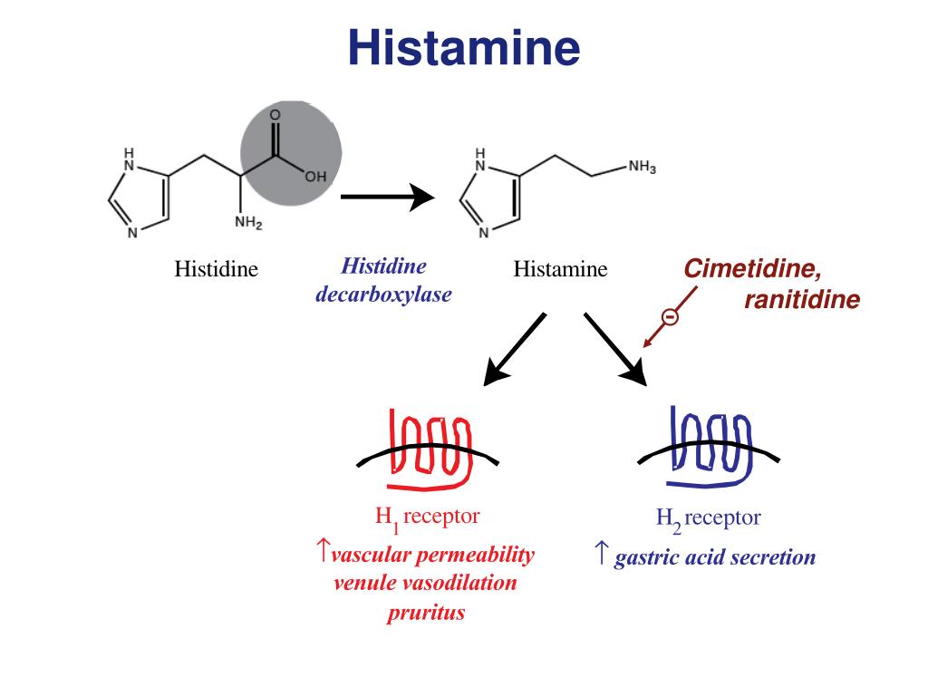 Повышенный гистамин