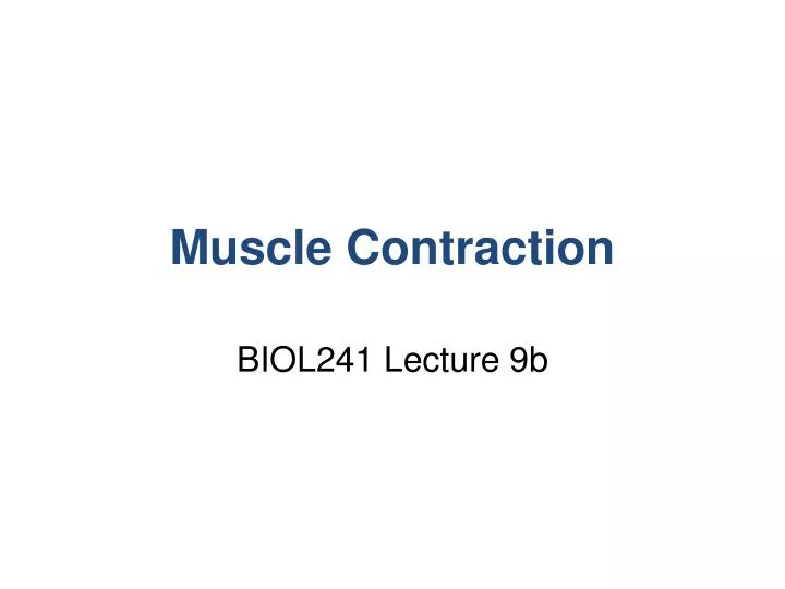 muscle contraction n.