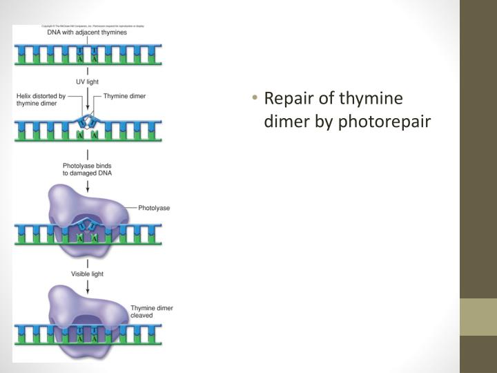 PPT 3C1 PowerPoint Presentation ID1871460