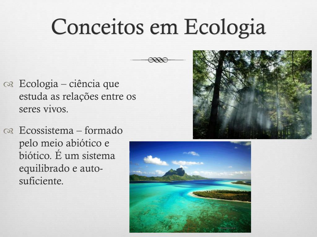PPT - Ecologia PowerPoint Presentation, free download - ID:1871667