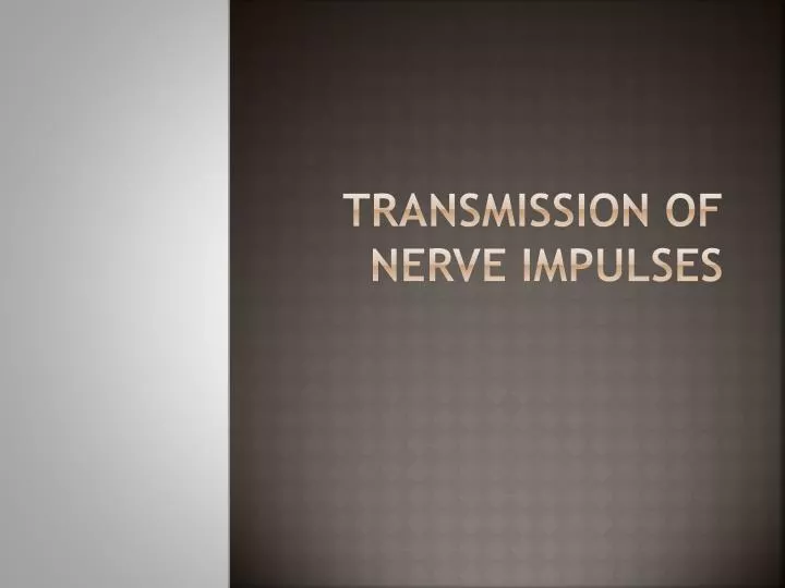neurophysiology of nerve impulses neurophysiology of nerve impulses