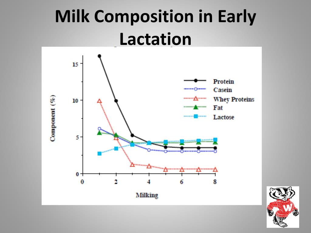 PPT Milk Protein, Colostrum , Lactose, Minerals and MUN PowerPoint