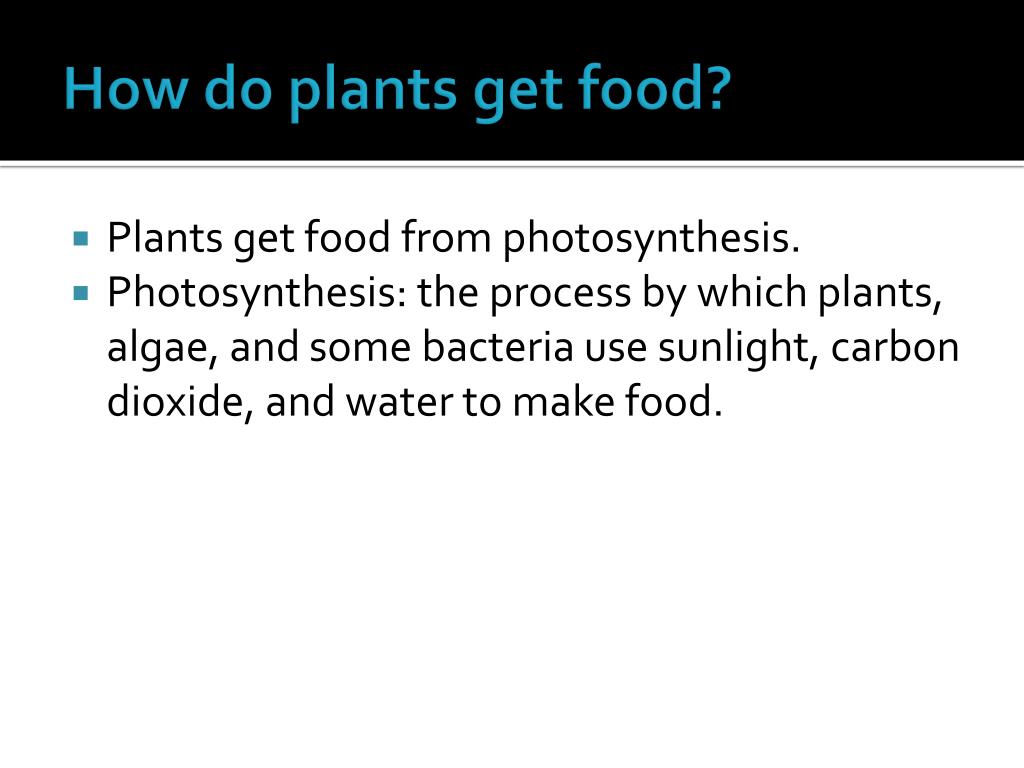 PPT Organization of Living Things and Cellular Respiration PowerPoint