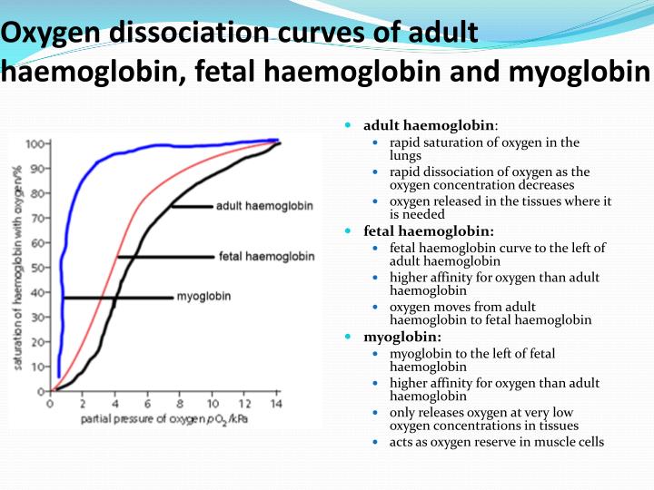 High oxygen affinity hemoglobin polycythemia