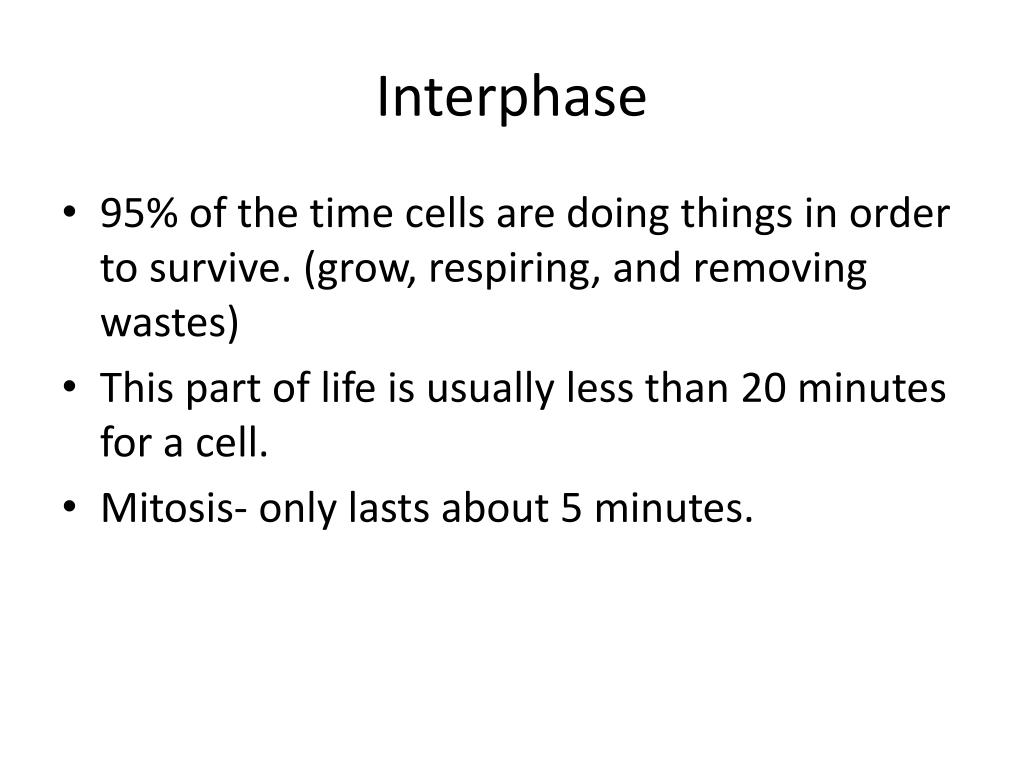 Interphase PowerPoint Presentation free download Biology Diagrams