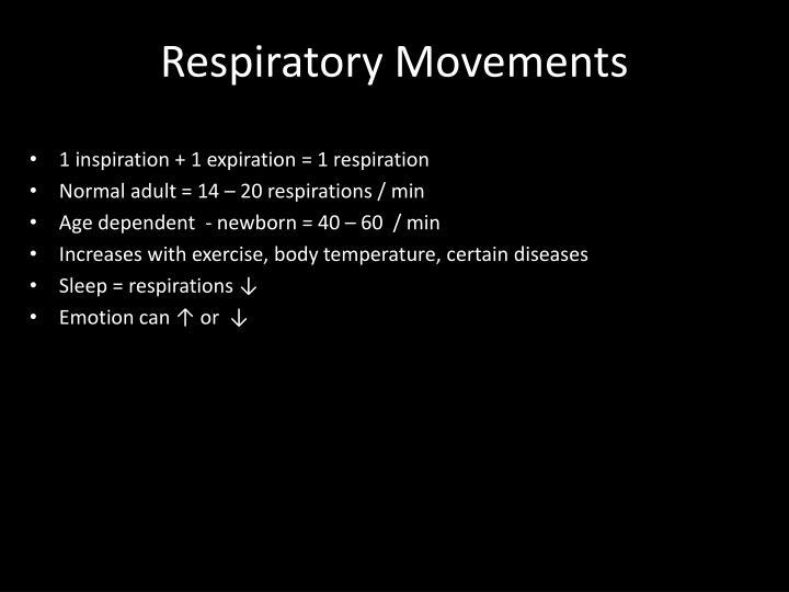 PPT - Respiratory system facts : 1,500 mi of airways PowerPoint ...