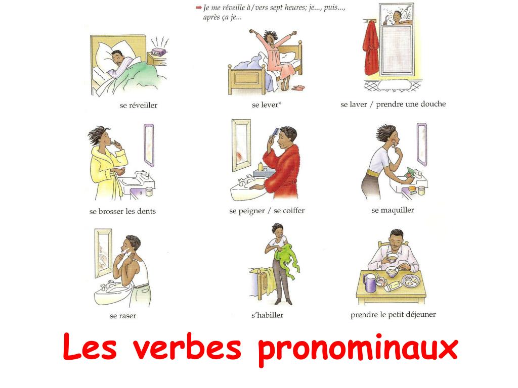 PPT - Les verbes pronominaux PowerPoint Presentation, free download -  ID:1873412