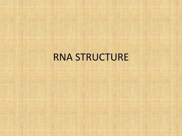 rna structure n.