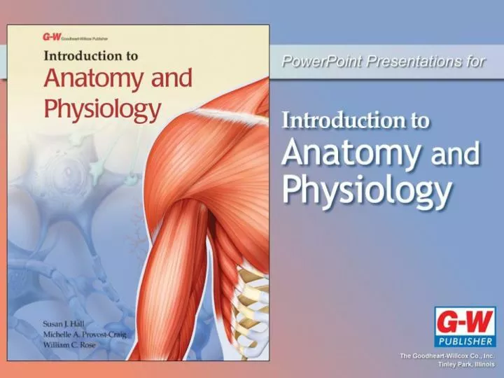 PPT - Lesson 5.1: Muscle Tissue Categories and Functions Lesson 5.2