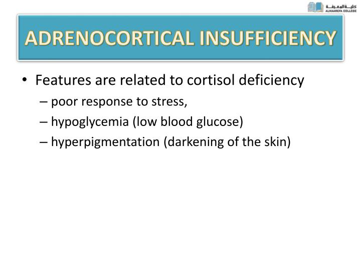 PPT - PATHOPHYSIOLOGY OF ADRENOCORTICAL HORMONE PowerPoint Presentation ...