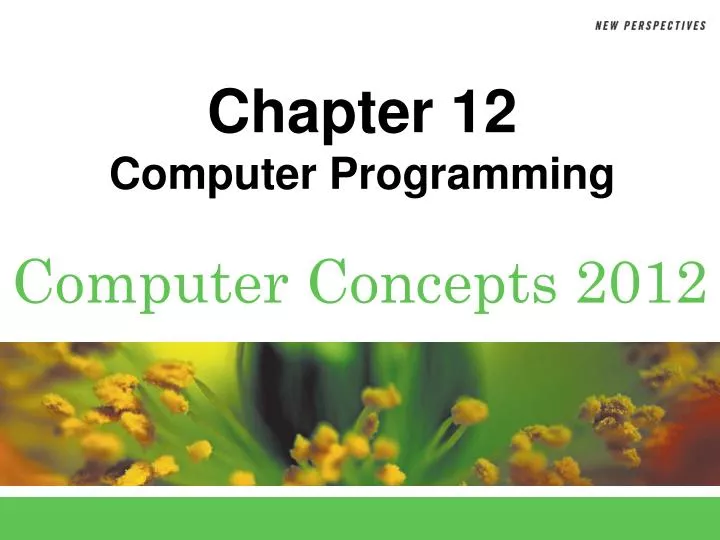 PPT - Chapter 12 Computer Programming PowerPoint Presentation, free ...