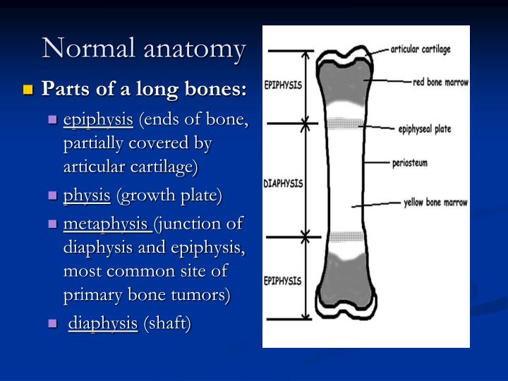 PPT - MUSCULOSKELETAL BLOCK Pathology Lecture 1: Fracture and bone