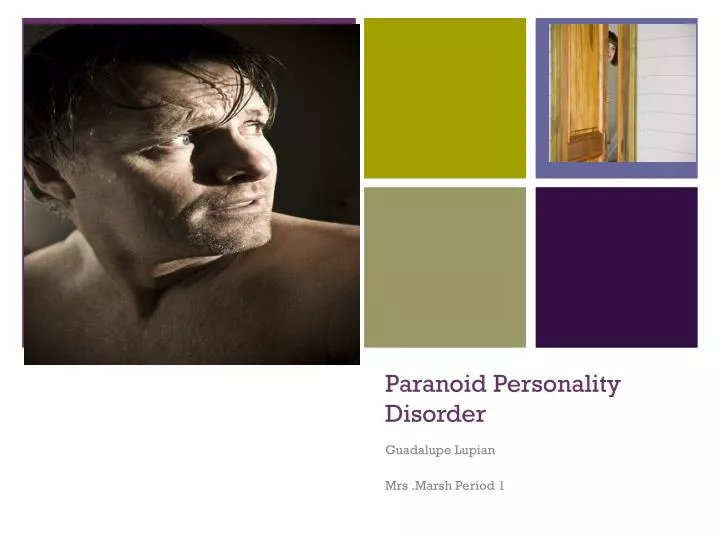 paranoid personality disorder paranoid personality disorder
