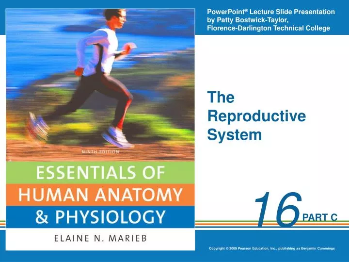 The Reproductive System by Alvin Silverstein The Reproductive System by Alvin Silverstein
