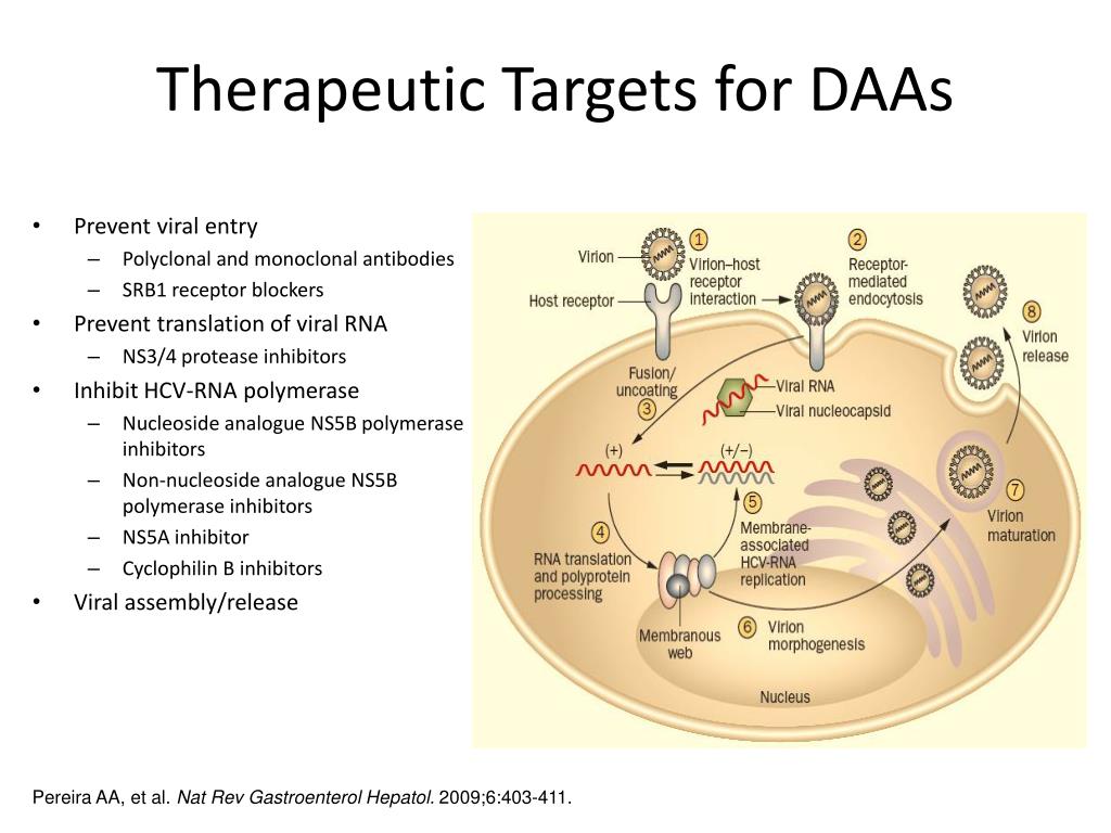 PPT Direct Acting Antivirals What are they? What is their place in
