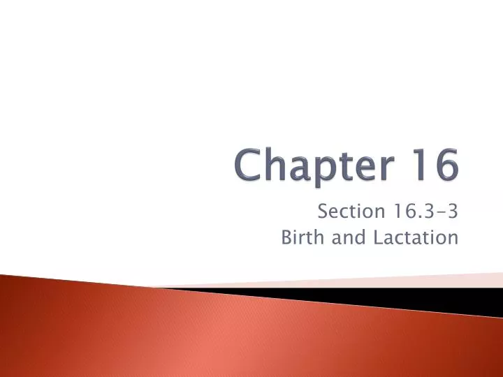 Ppt Chapter 16 Powerpoint Presentation Free Download Id 1879329