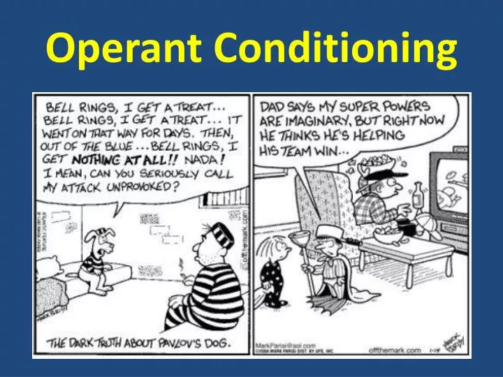 PPT - Operant Conditioning PowerPoint Presentation, free download -  ID:1879862