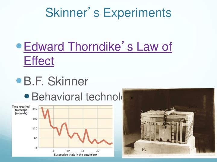 edward thorndike experiment
