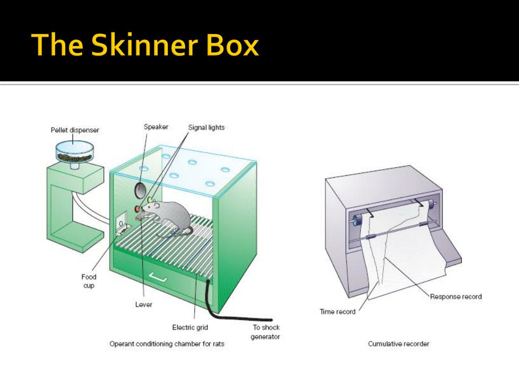 PPT Operant Conditioning PowerPoint Presentation Free Download ID 